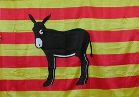 20061130193222-drapeau-ane.jpg