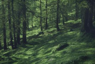 fieberbrunn1.jpg